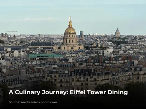 A Culinary Journey: Eiffel Tower Dining Experiences