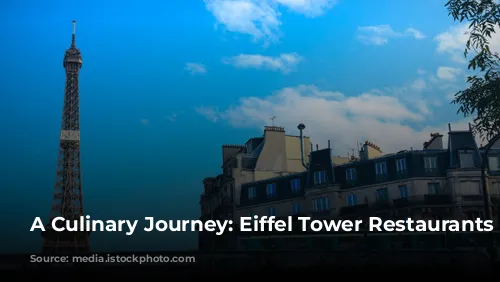 A Culinary Journey: Eiffel Tower Restaurants