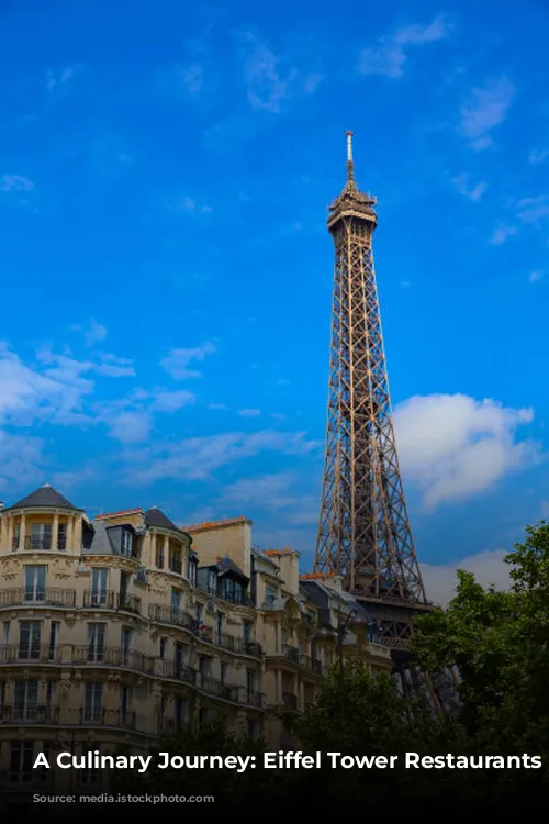 A Culinary Journey: Eiffel Tower Restaurants