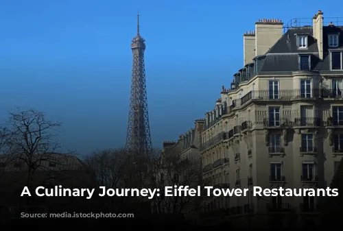 A Culinary Journey: Eiffel Tower Restaurants