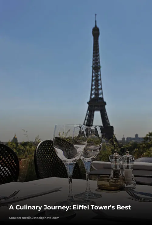 A Culinary Journey: Eiffel Tower's Best Restaurants