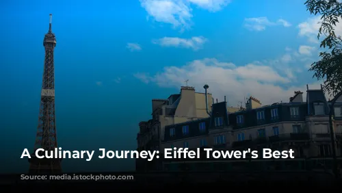 A Culinary Journey: Eiffel Tower's Best Restaurants