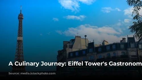 A Culinary Journey: Eiffel Tower's Gastronomic Gems