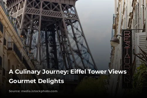 A Culinary Journey: Eiffel Tower Views and Gourmet Delights