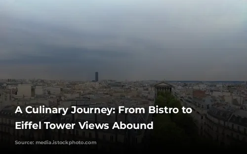 A Culinary Journey: From Bistro to Yacht, Eiffel Tower Views Abound