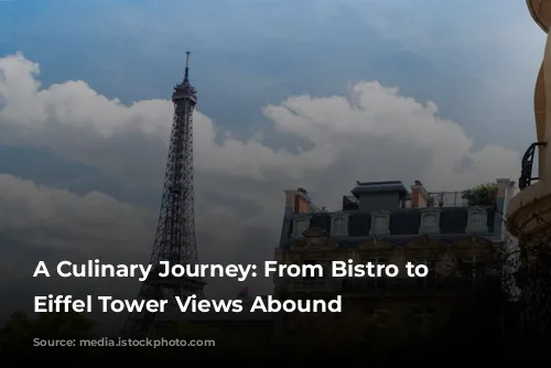 A Culinary Journey: From Bistro to Yacht, Eiffel Tower Views Abound