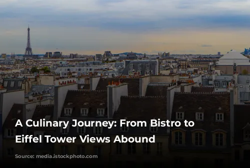 A Culinary Journey: From Bistro to Yacht, Eiffel Tower Views Abound