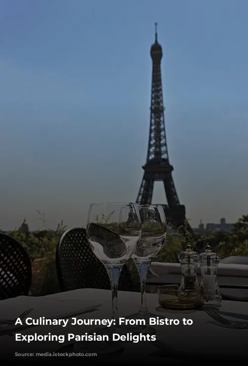 A Culinary Journey: From Bistro to Yacht, Exploring Parisian Delights