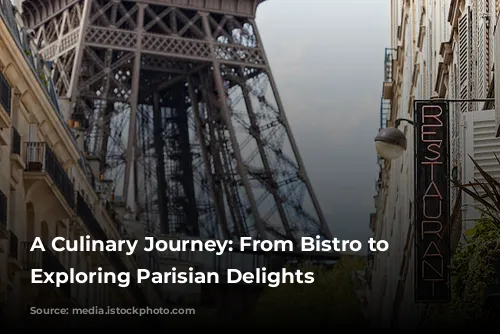 A Culinary Journey: From Bistro to Yacht, Exploring Parisian Delights