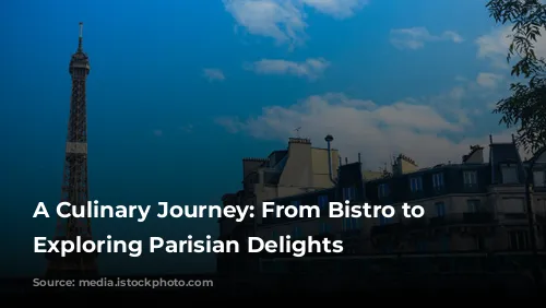 A Culinary Journey: From Bistro to Yacht, Exploring Parisian Delights