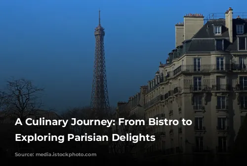 A Culinary Journey: From Bistro to Yacht, Exploring Parisian Delights