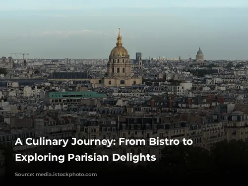 A Culinary Journey: From Bistro to Yacht, Exploring Parisian Delights