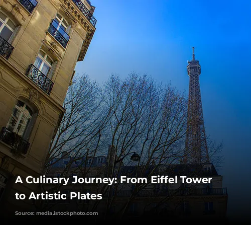 A Culinary Journey: From Eiffel Tower Views to Artistic Plates