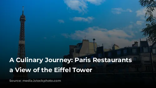 A Culinary Journey: Paris Restaurants with a View of the Eiffel Tower