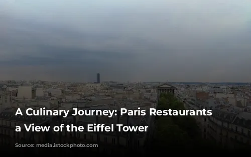 A Culinary Journey: Paris Restaurants with a View of the Eiffel Tower