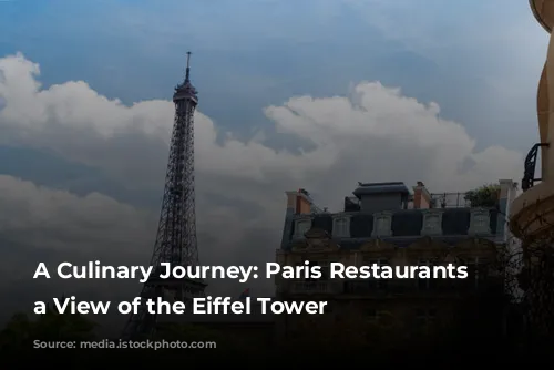 A Culinary Journey: Paris Restaurants with a View of the Eiffel Tower