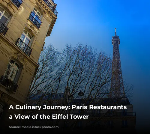 A Culinary Journey: Paris Restaurants with a View of the Eiffel Tower