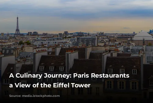 A Culinary Journey: Paris Restaurants with a View of the Eiffel Tower