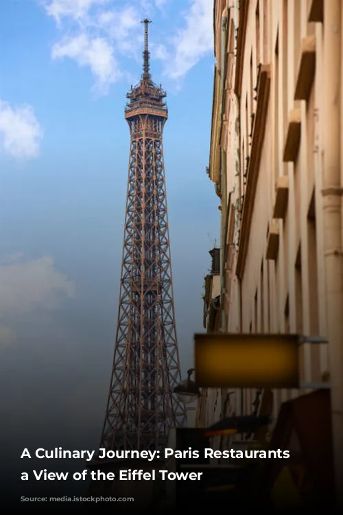 A Culinary Journey: Paris Restaurants with a View of the Eiffel Tower