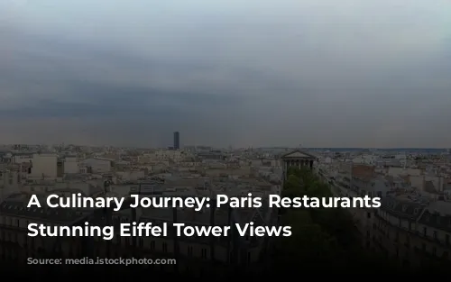 A Culinary Journey: Paris Restaurants with Stunning Eiffel Tower Views