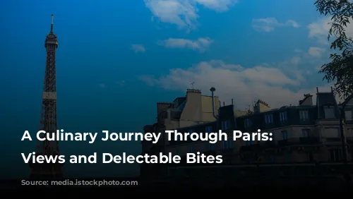 A Culinary Journey Through Paris: Delicious Views and Delectable Bites