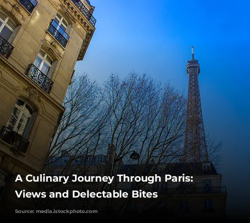 A Culinary Journey Through Paris: Delicious Views and Delectable Bites