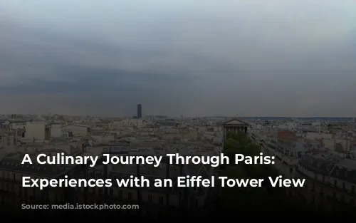 A Culinary Journey Through Paris: Dining Experiences with an Eiffel Tower View