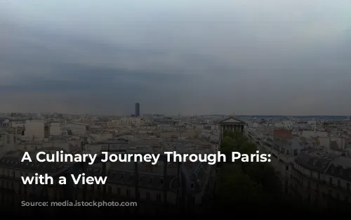 A Culinary Journey Through Paris: Dining with a View