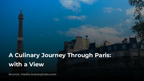 A Culinary Journey Through Paris: Dining with a View