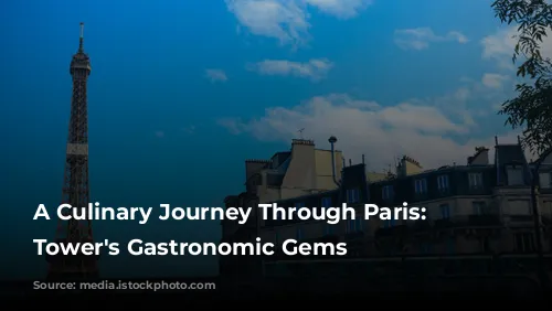 A Culinary Journey Through Paris: Eiffel Tower's Gastronomic Gems