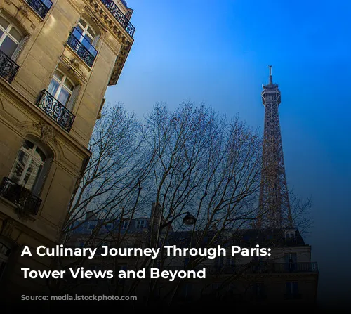 A Culinary Journey Through Paris: Eiffel Tower Views and Beyond