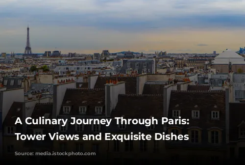 A Culinary Journey Through Paris: Eiffel Tower Views and Exquisite Dishes