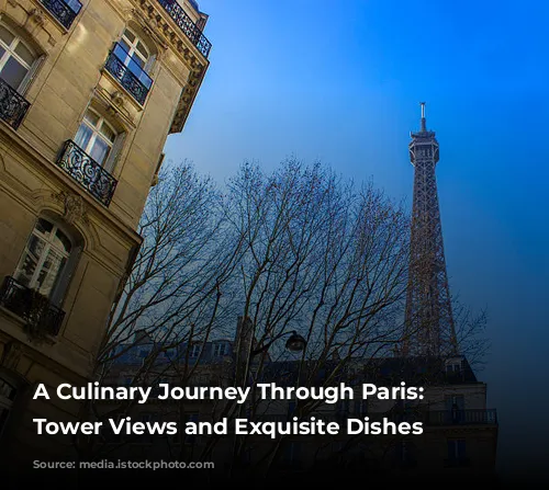 A Culinary Journey Through Paris: Eiffel Tower Views and Exquisite Dishes