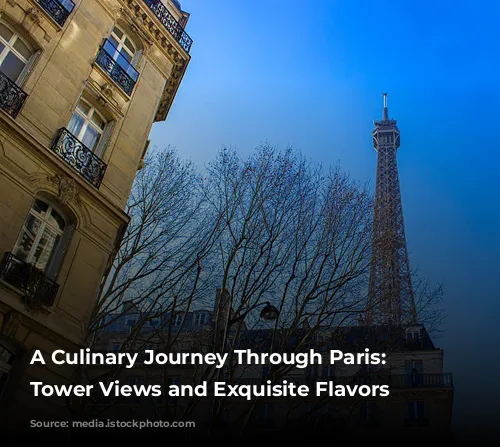 A Culinary Journey Through Paris: Eiffel Tower Views and Exquisite Flavors