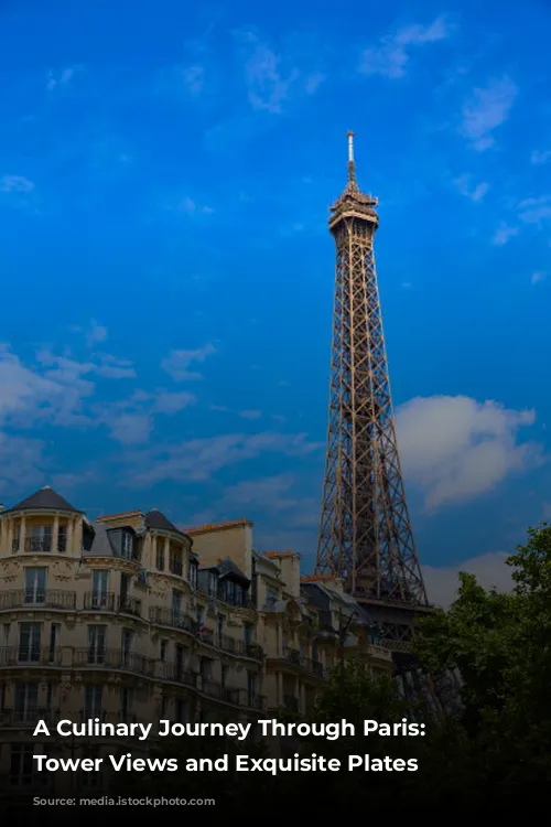 A Culinary Journey Through Paris: Eiffel Tower Views and Exquisite Plates