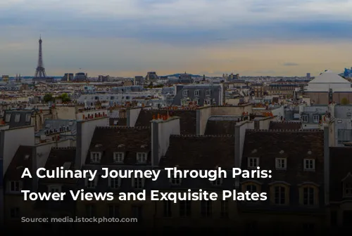 A Culinary Journey Through Paris: Eiffel Tower Views and Exquisite Plates