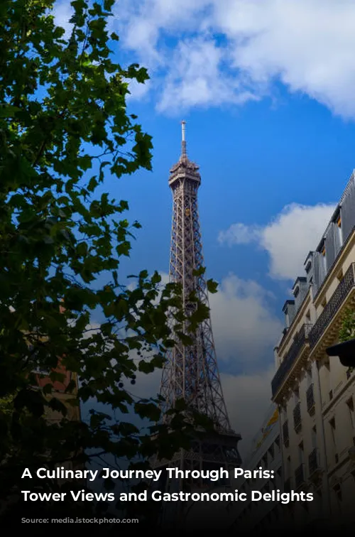 A Culinary Journey Through Paris: Eiffel Tower Views and Gastronomic Delights