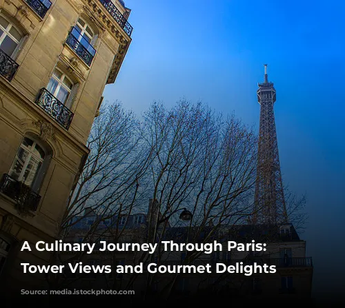 A Culinary Journey Through Paris: Eiffel Tower Views and Gourmet Delights