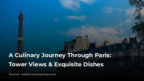 A Culinary Journey Through Paris: Eiffel Tower Views & Exquisite Dishes