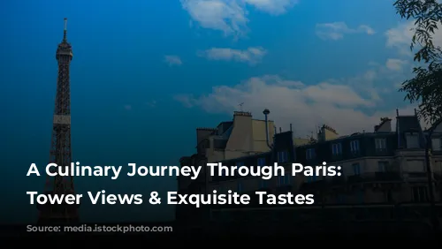 A Culinary Journey Through Paris: Eiffel Tower Views & Exquisite Tastes