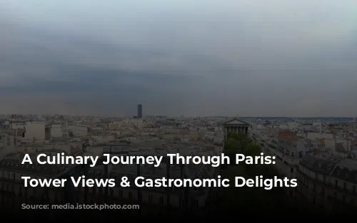 A Culinary Journey Through Paris:  Eiffel Tower Views & Gastronomic Delights