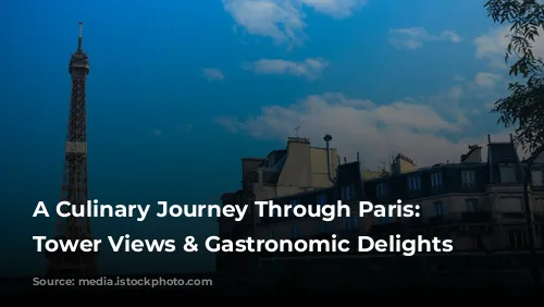 A Culinary Journey Through Paris:  Eiffel Tower Views & Gastronomic Delights