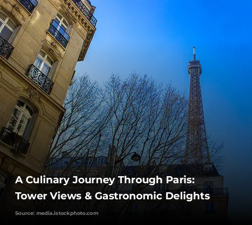 A Culinary Journey Through Paris: Eiffel Tower Views & Gastronomic Delights