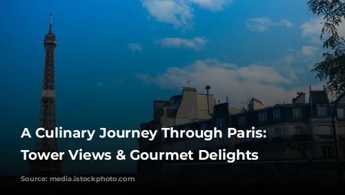 A Culinary Journey Through Paris: Eiffel Tower Views & Gourmet Delights