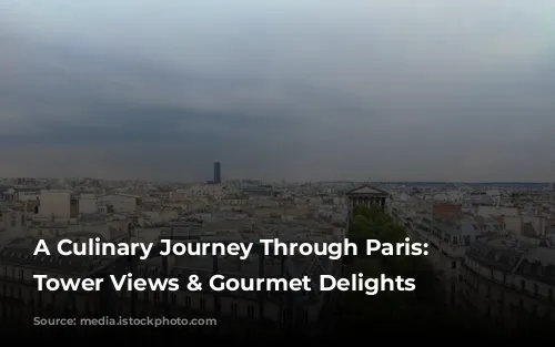 A Culinary Journey Through Paris: Eiffel Tower Views & Gourmet Delights