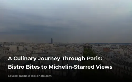 A Culinary Journey Through Paris: From Bistro Bites to Michelin-Starred Views