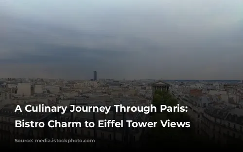 A Culinary Journey Through Paris: From Bistro Charm to Eiffel Tower Views