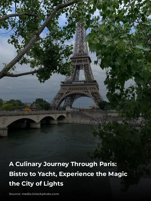 A Culinary Journey Through Paris: From Bistro to Yacht, Experience the Magic of the City of Lights