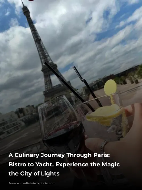 A Culinary Journey Through Paris: From Bistro to Yacht, Experience the Magic of the City of Lights