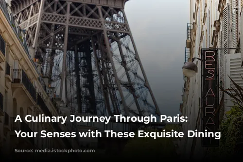 A Culinary Journey Through Paris: Indulge Your Senses with These Exquisite Dining Experiences